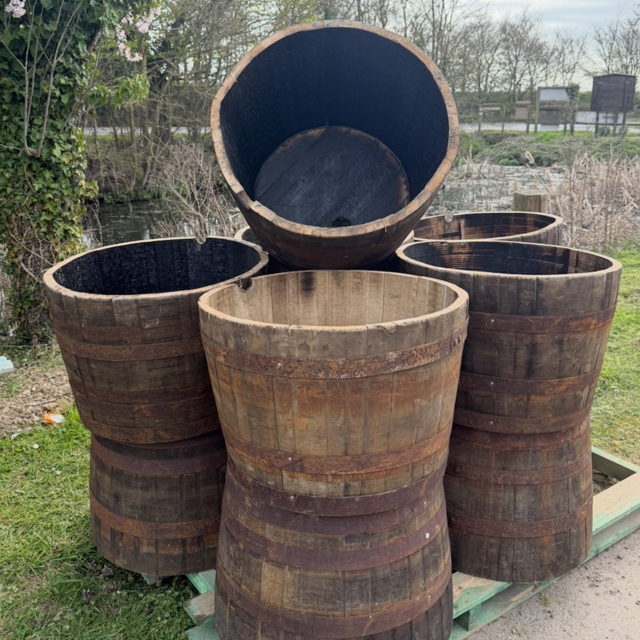 Oak Whiskey Barrel Planters - Tendring Lumber Company
